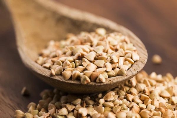 Buckwheat with a spoon on a wooden boards background — Stock Photo, Image