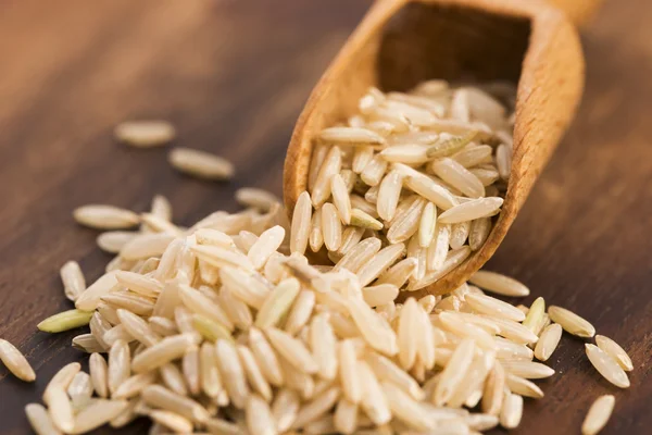 水稲玄米のスプーンをクローズ アップ — ストック写真