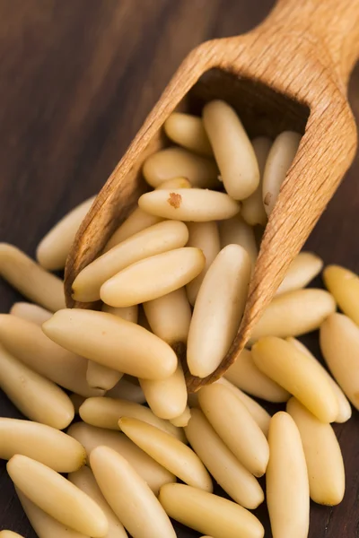 Dry Organic Pine Nuts on Wooden Background — Stock Photo, Image