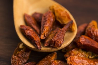 biber sıcak kuşlar göz