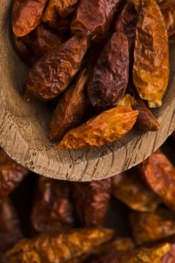 biber sıcak kuşlar göz