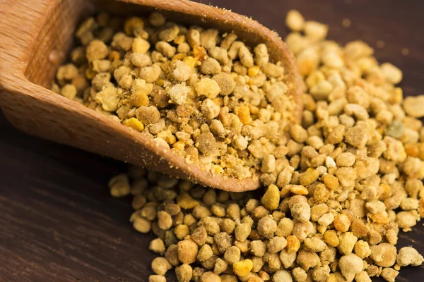 Bee pollen närbild — Stockfoto