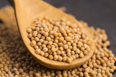 Ahşap bir arka planda Baharatlı hardal tohumu