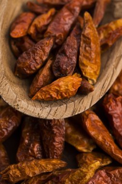 biber sıcak kuşlar göz