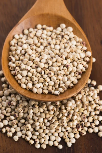 Sorgo, arroz — Foto de Stock