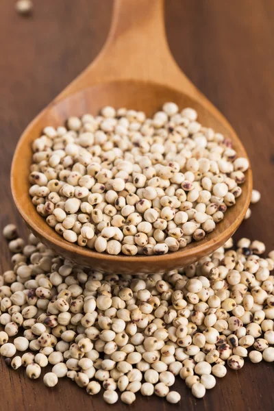 Sorgo, arroz — Foto de Stock