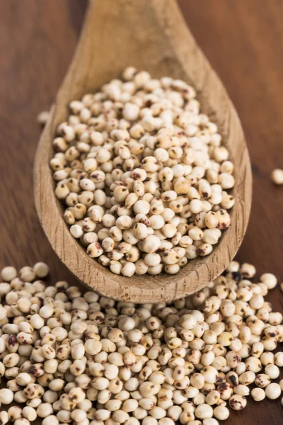 Sorgo, arroz — Foto de Stock