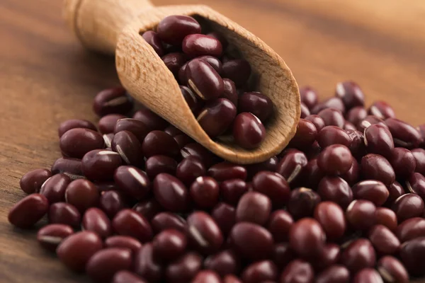 Red haricot beans (Adzuki) — Stock Photo, Image