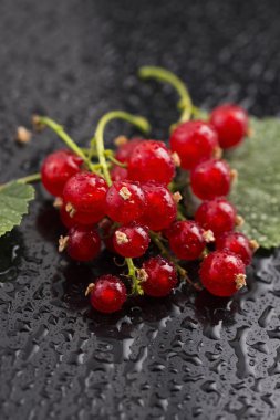 Frenk üzümü yakın çekim