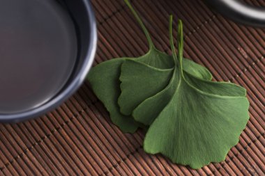 Ginkgo çay