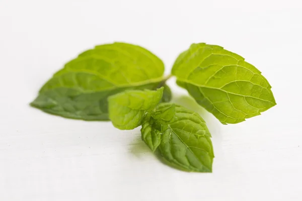 Verse rauwe muntblaadjes geïsoleerd op witte achtergrond — Stockfoto