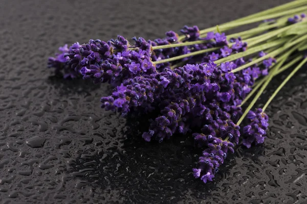 Mazzo di fiori di lavanda — Foto Stock