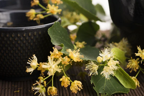 Tekanna och kopp med linden te och blommor — Stockfoto