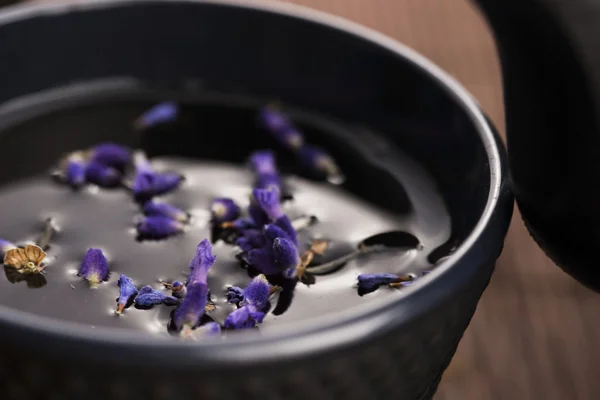 Lavender tea — Stock Photo, Image