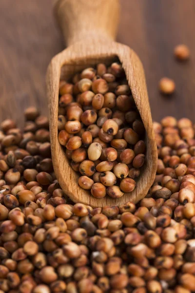 Sorgo, arroz — Foto de Stock