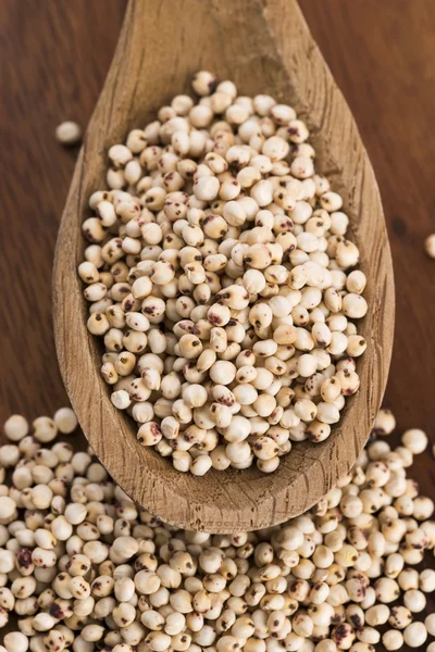 Sorghum, Reis — Stockfoto