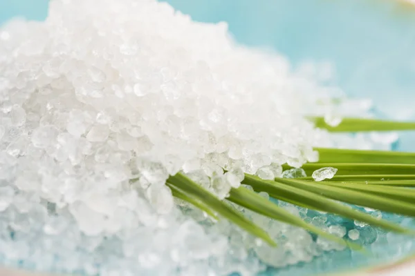 Bath salt and palm leaf — Stock Photo, Image