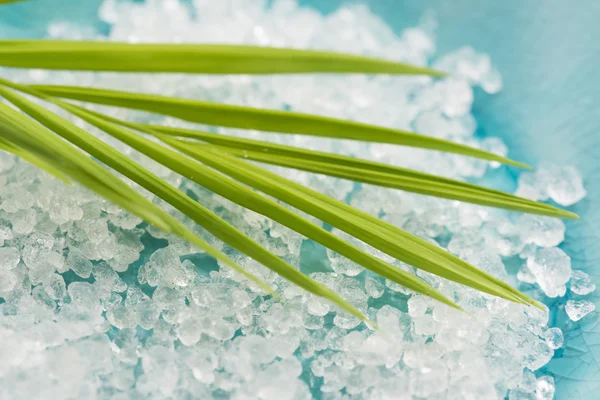 Sel de bain et feuille de palme — Photo