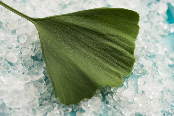 Ginkgo biloba hoja y sal de baño — Foto de Stock