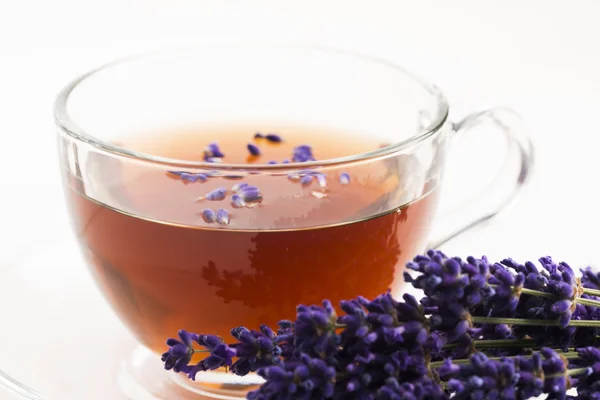 Lavender tea — Stock Photo, Image