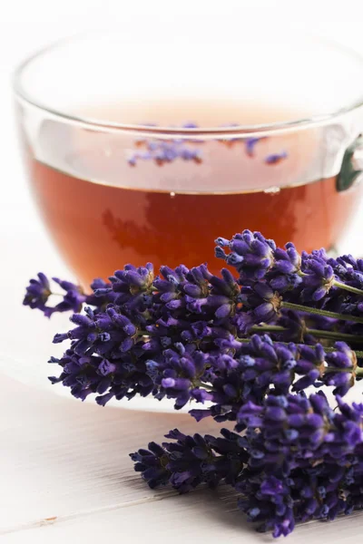 Lavender tea — Stock Photo, Image