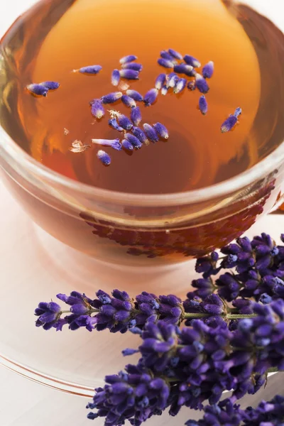 Lavendel te — Stockfoto