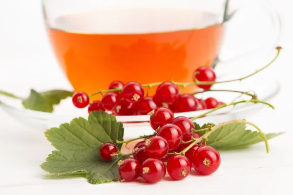 Tee in Tasse und frische rote Johannisbeeren — Stockfoto