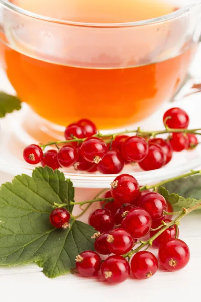 Té en taza y grosella roja fresca — Foto de Stock