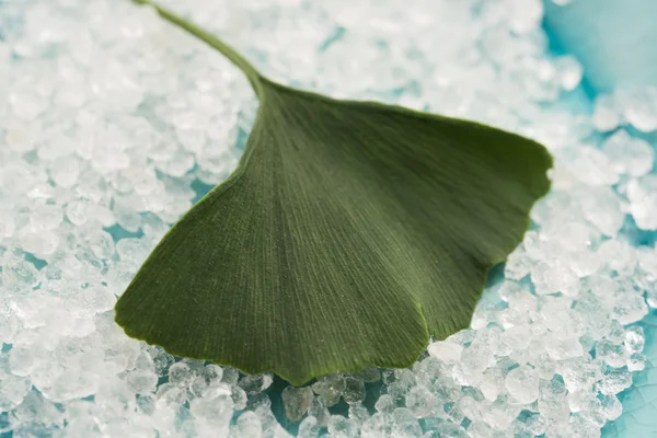 Ginkgo biloba leaf and bath salt — Stock Photo, Image