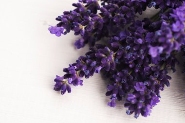 Bir demet lavanta çiçeği.