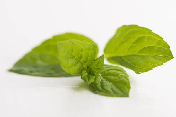 Frische rohe Minzblätter isoliert auf weißem Hintergrund — Stockfoto