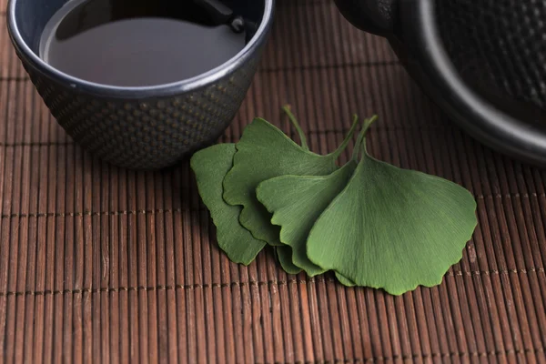 Ginkgo tea — Stock Photo, Image
