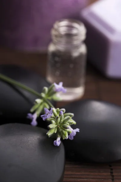 Spa de lavanda — Fotografia de Stock