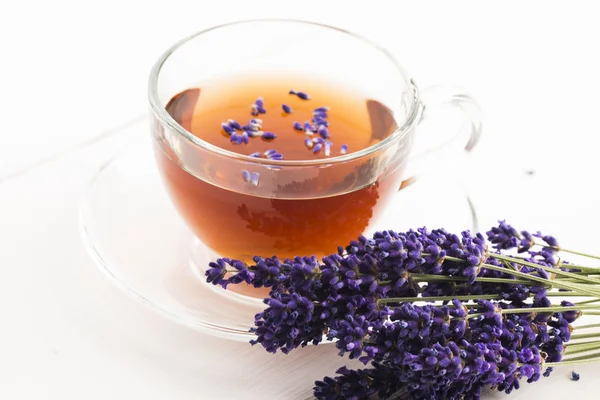 Lavender tea — Stock Photo, Image