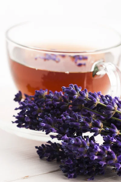 Lavender tea — Stock Photo, Image