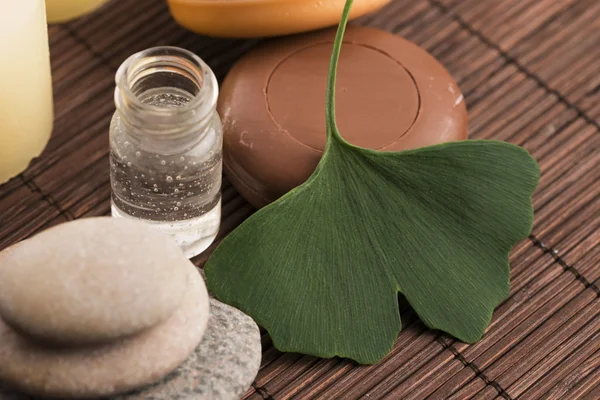 Ginkgo mit ätherischem Öl — Stockfoto