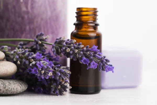 Essential oil and lavender flowers — Stock Photo, Image