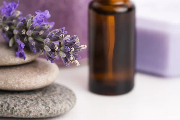 Aceite esencial y flores de lavanda —  Fotos de Stock