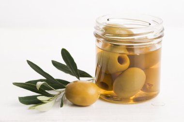 Salamura Zeytin ve zeytin ağacı dalı