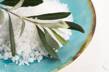 taze zeytin dalı ile deniz tuzu