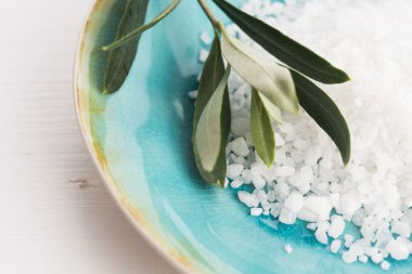 taze zeytin dalı ile deniz tuzu