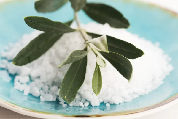 Свіжа оливкова гілка з морською сіллю — стокове фото