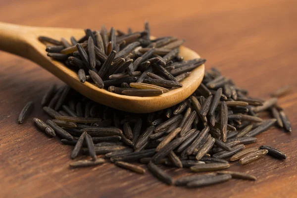 Wild rice — Stock Photo, Image