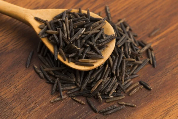 Wild rice — Stock Photo, Image