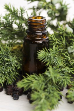 ardıç esaslı yağ