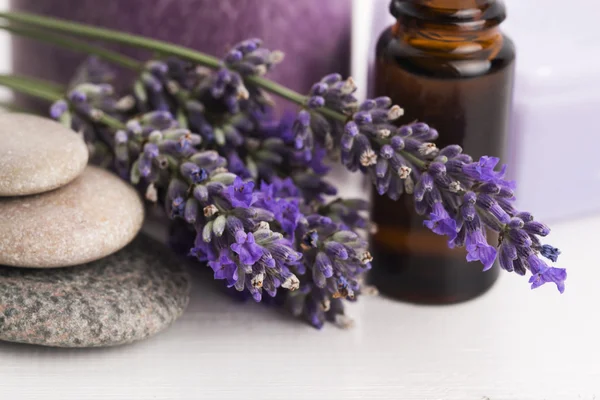 Aceite esencial y flores de lavanda —  Fotos de Stock