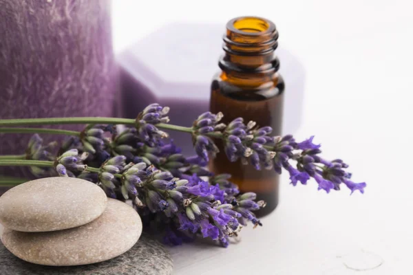 Aceite esencial y flores de lavanda —  Fotos de Stock