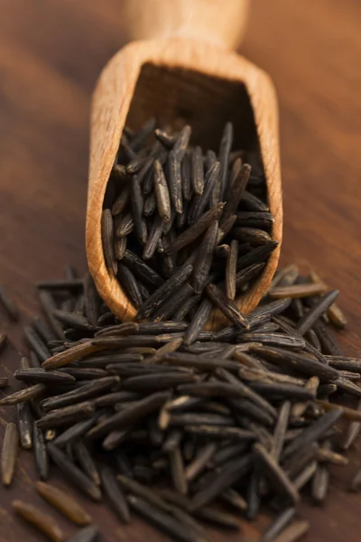 Wild rice — Stock Photo, Image