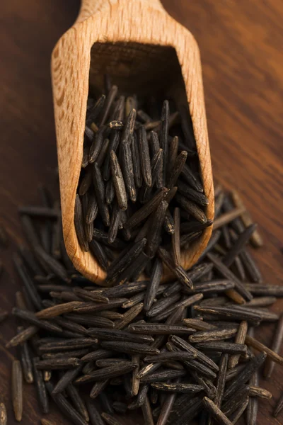 Wild rice — Stock Photo, Image