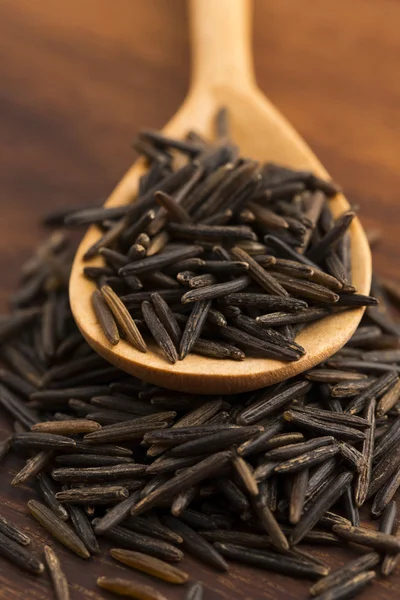 Wild rice — Stock Photo, Image